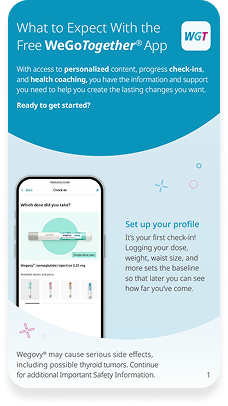 Thumbnail of the WeGoTogether guide on what to expect.